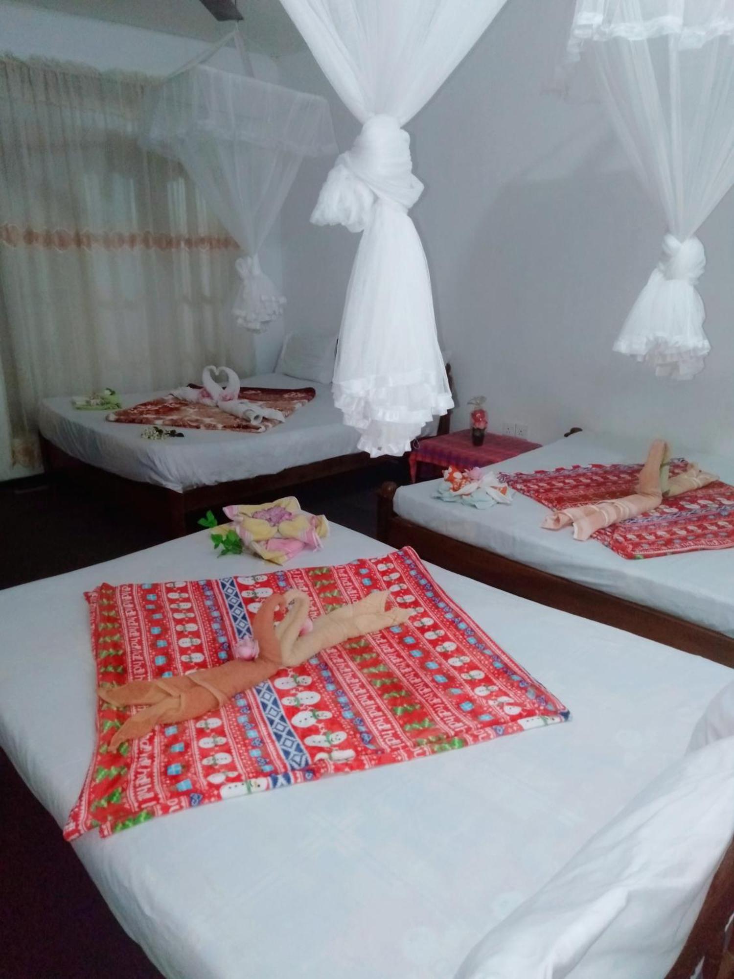 Ella Tea Land View Apartment Room photo