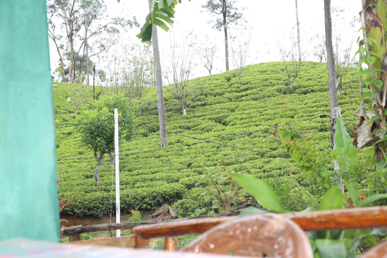 Ella Tea Land View Apartment Exterior photo